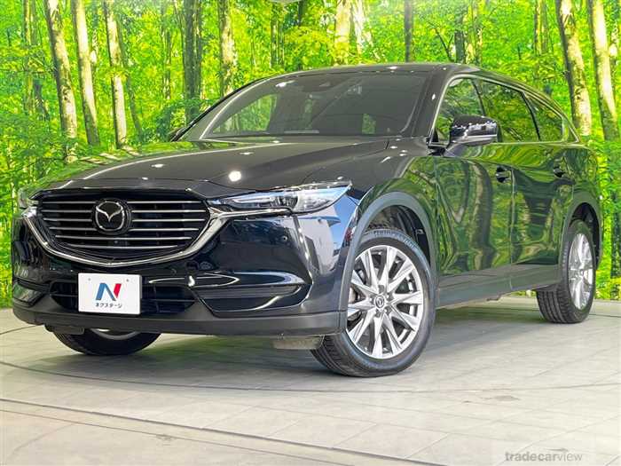 2019 Mazda CX-8