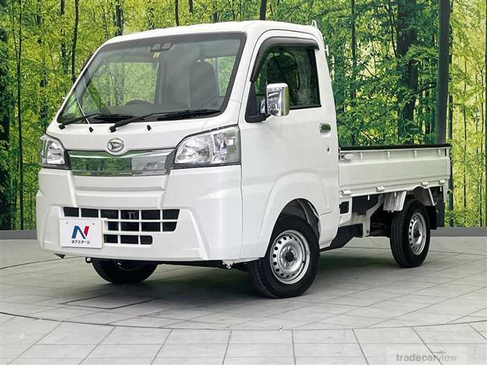 2019 Daihatsu Hijet Truck