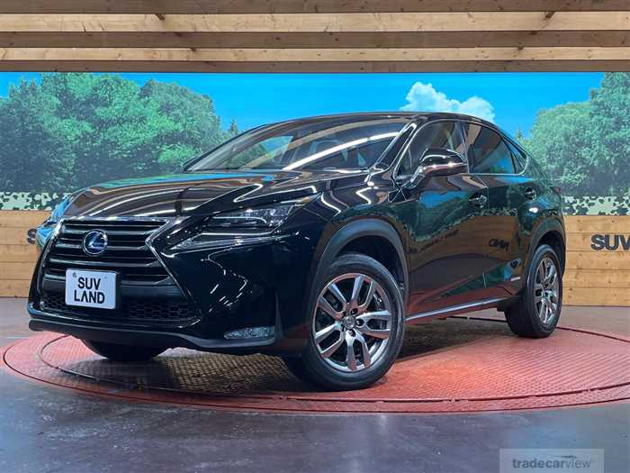 2015 Lexus NX