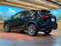 2015 Lexus NX