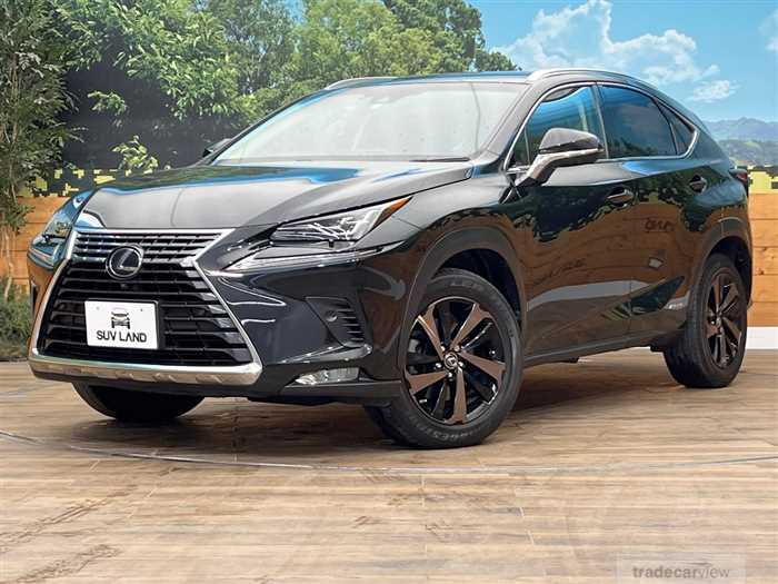 2017 Lexus NX