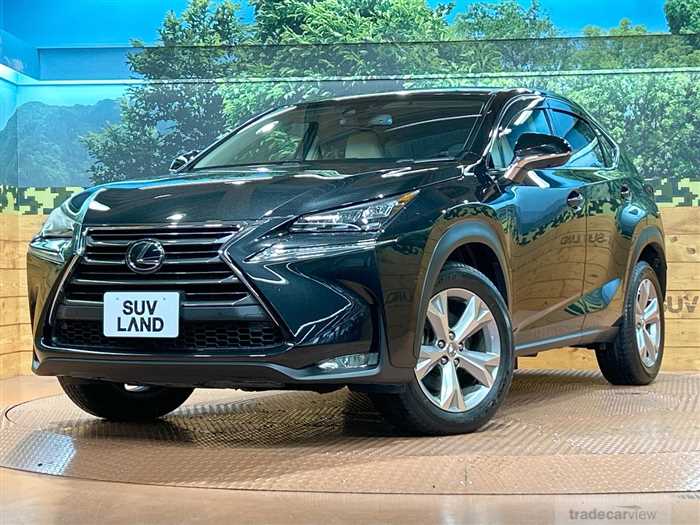 2016 Lexus NX