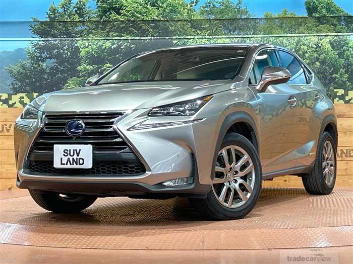 2016 Lexus NX