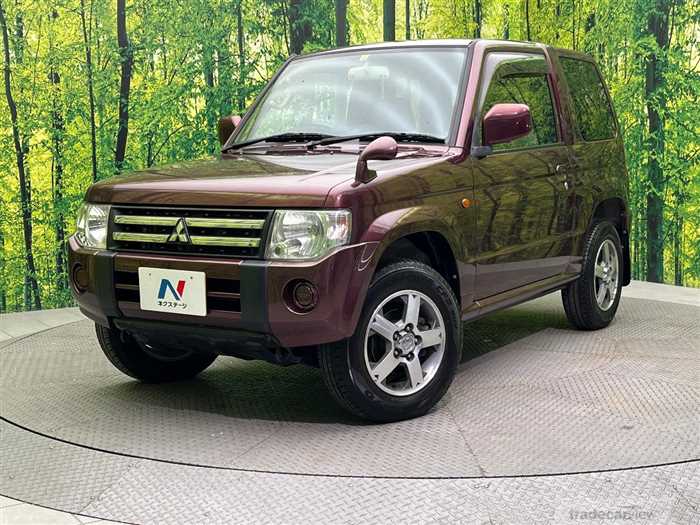 2011 Mitsubishi Pajero Mini