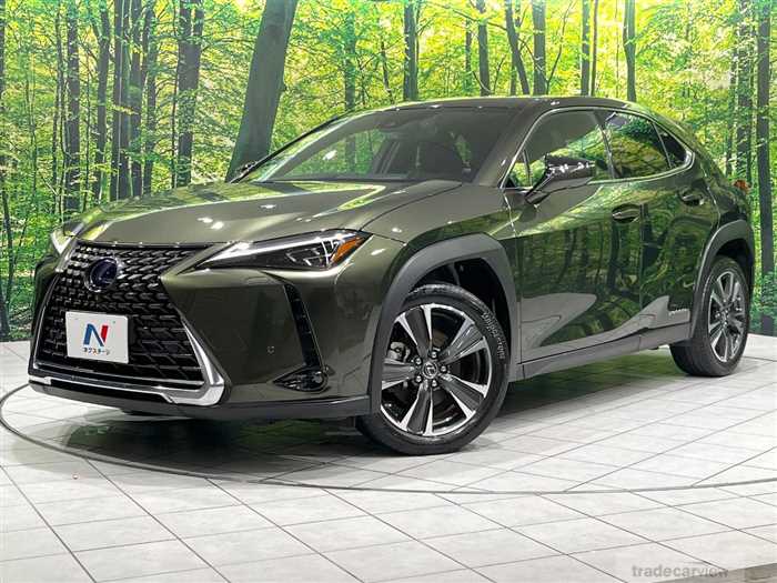 2019 Lexus Other