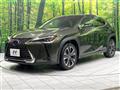 2019 Lexus Other