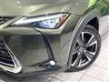 2019 Lexus Other