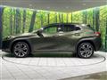 2019 Lexus Other