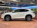 2014 Lexus NX