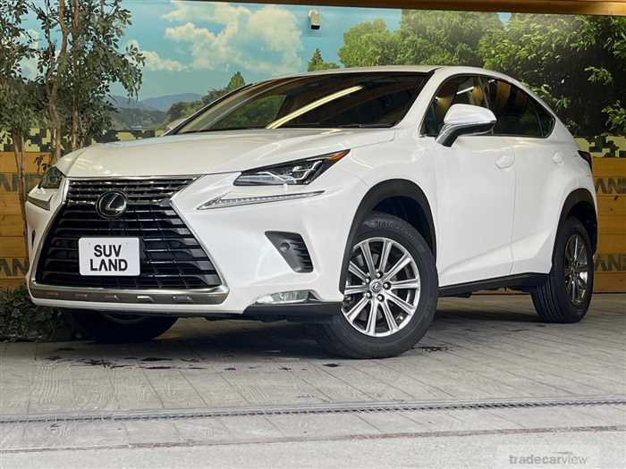 2018 Lexus NX