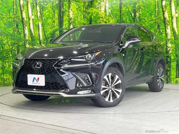 2019 Lexus NX