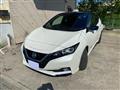 2018 Nissan Nissan Others