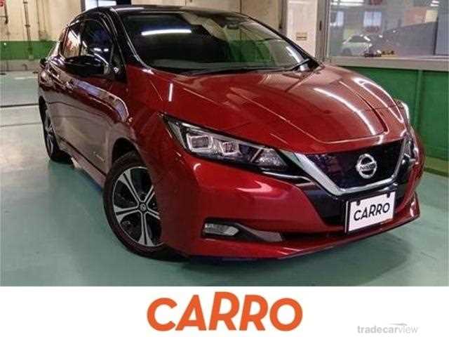 2019 Nissan Nissan Others