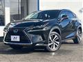 2017 Lexus NX