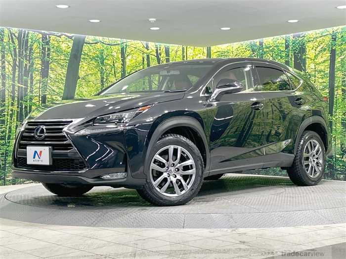 2016 Lexus NX