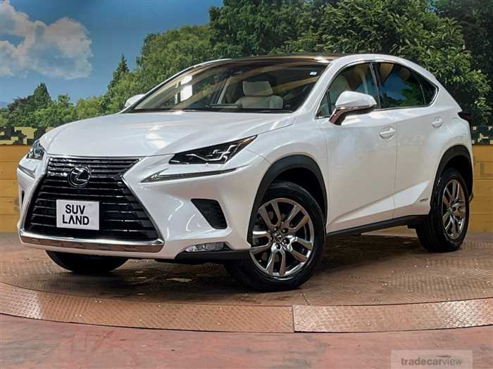 2018 Lexus NX