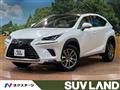 2018 Lexus NX