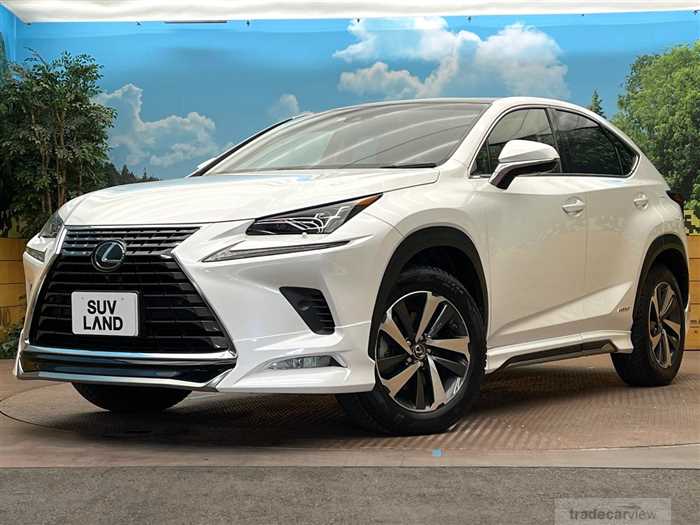 2018 Lexus NX