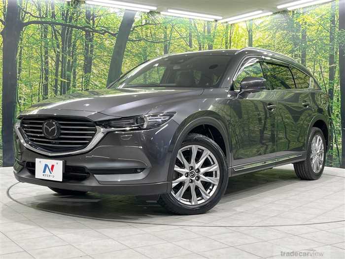 2017 Mazda CX-8