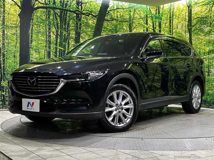 2018 Mazda CX-8