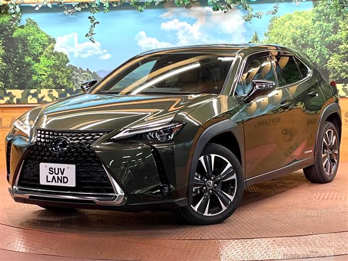 2020 Lexus Other