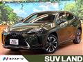 2020 Lexus Other