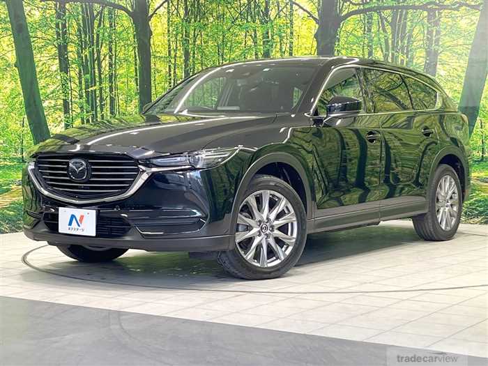 2019 Mazda CX-8