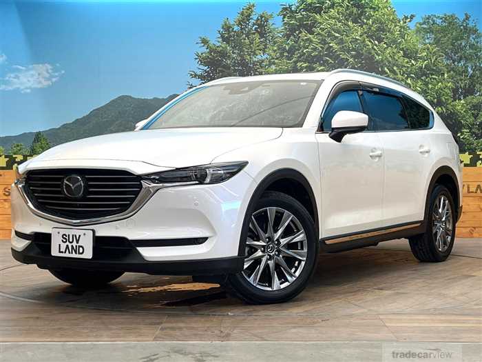 2019 Mazda CX-8