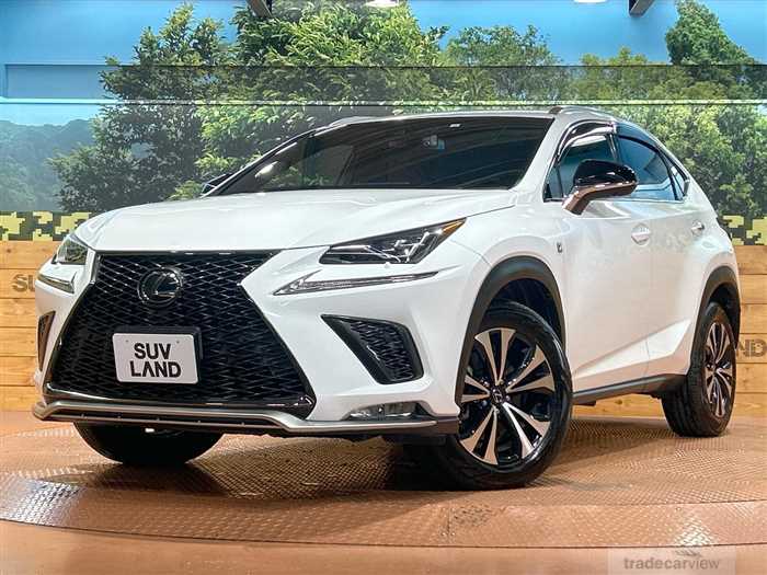 2018 Lexus NX