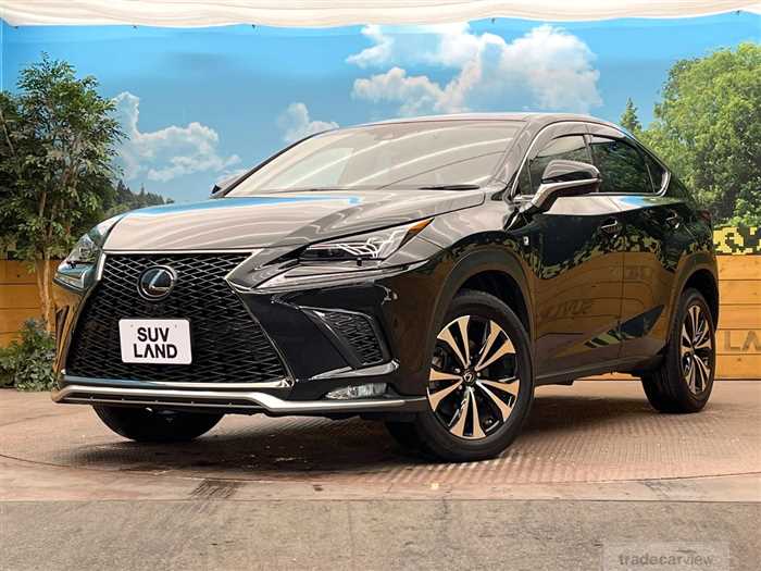 2018 Lexus NX