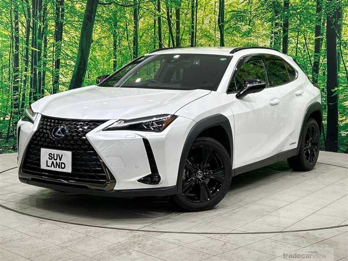 2021 Lexus Other