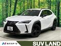 2021 Lexus Other