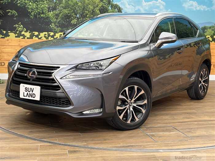 2014 Lexus NX