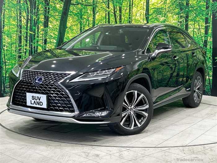 2019 Lexus RX