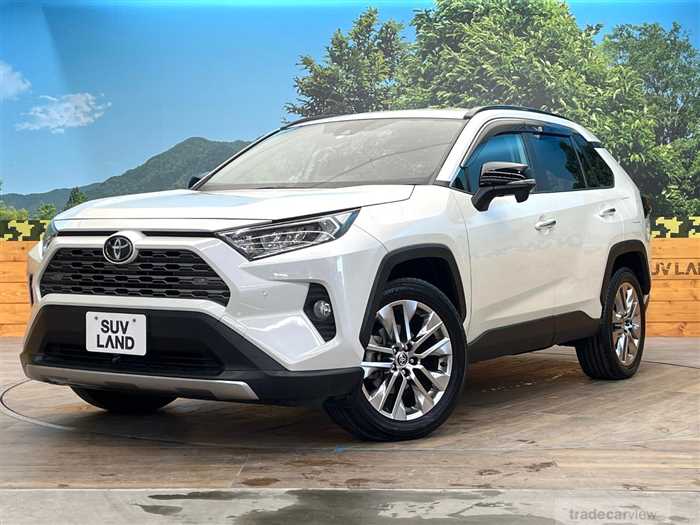 2020 Toyota RAV4