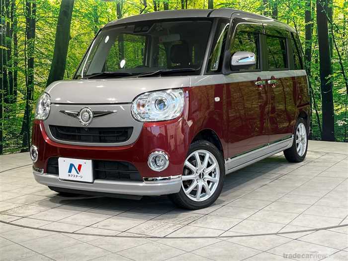 2019 Daihatsu Move Canbus