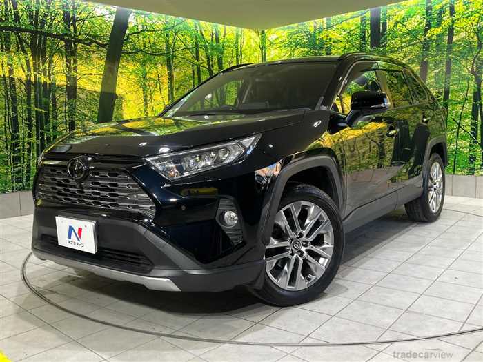 2020 Toyota RAV4