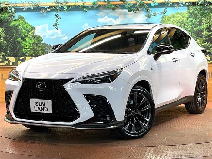 2024 Lexus NX