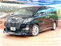 2016 Toyota Alphard