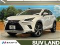 2021 Lexus NX