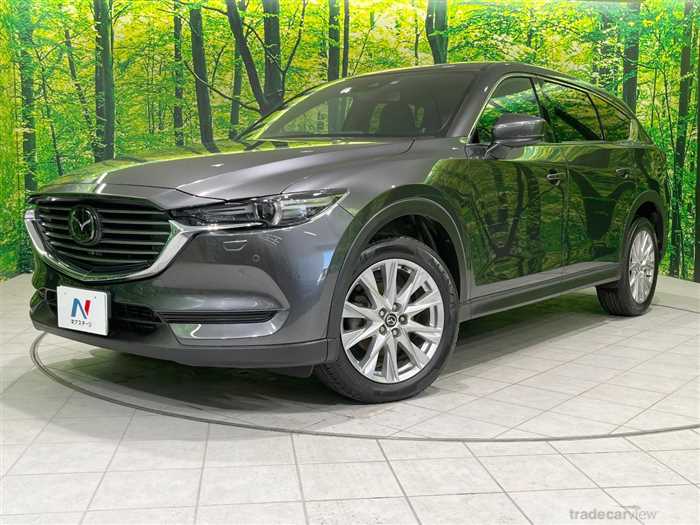 2017 Mazda CX-8