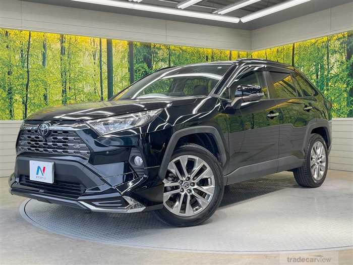 2020 Toyota RAV4