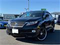 2009 Lexus RX