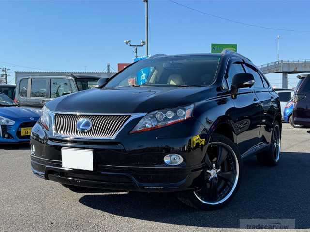 2009 Lexus RX