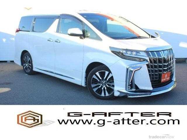 2019 Toyota Alphard G