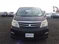 2008 Toyota Alphard