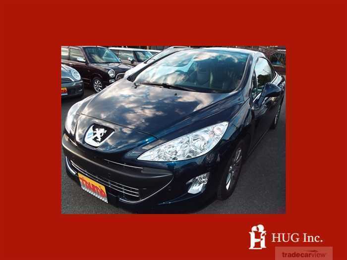 2009 Peugeot Peugoet Others