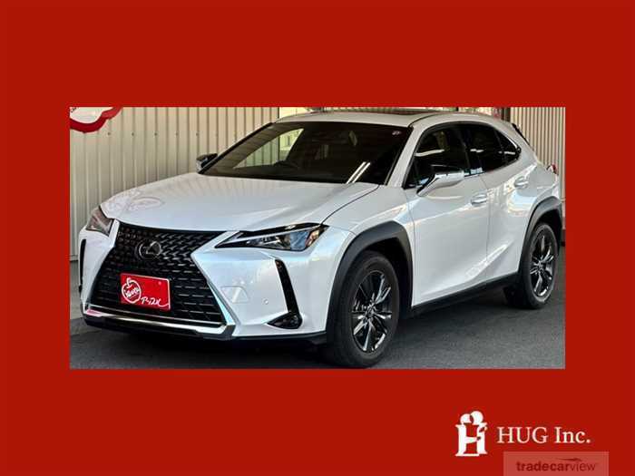 2018 Lexus Other