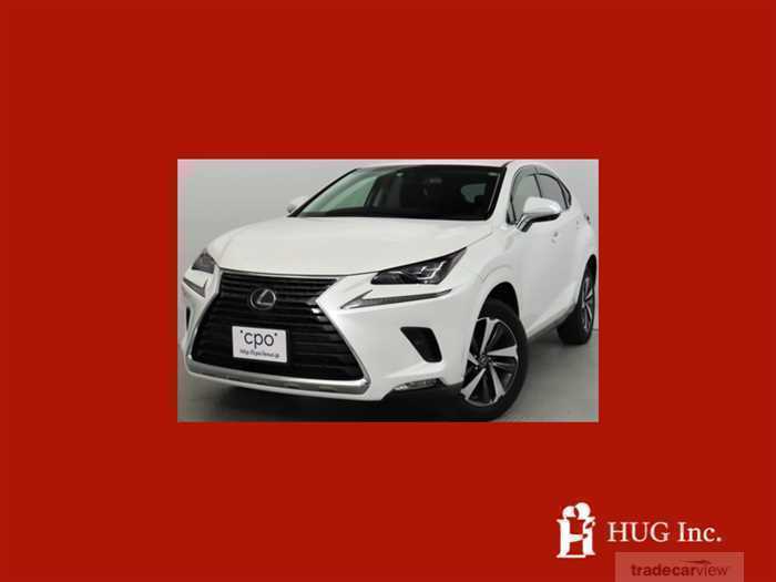 2019 Lexus NX