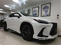 2021 Lexus NX